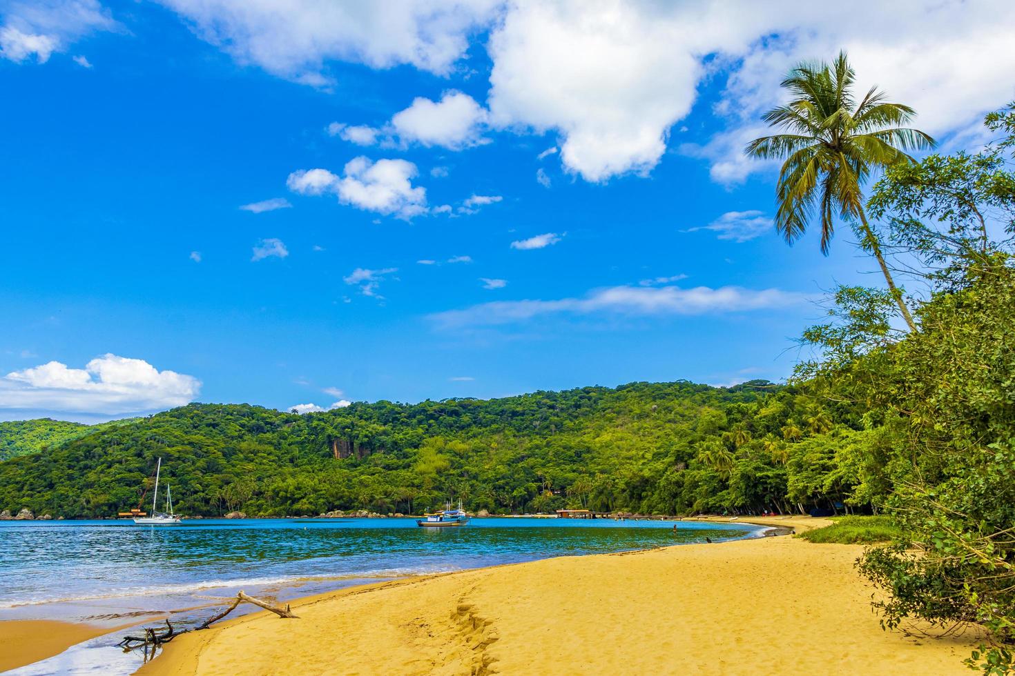 spiaggia di mangrovie e pouso sull'isola tropicale ilha grande brasile. foto