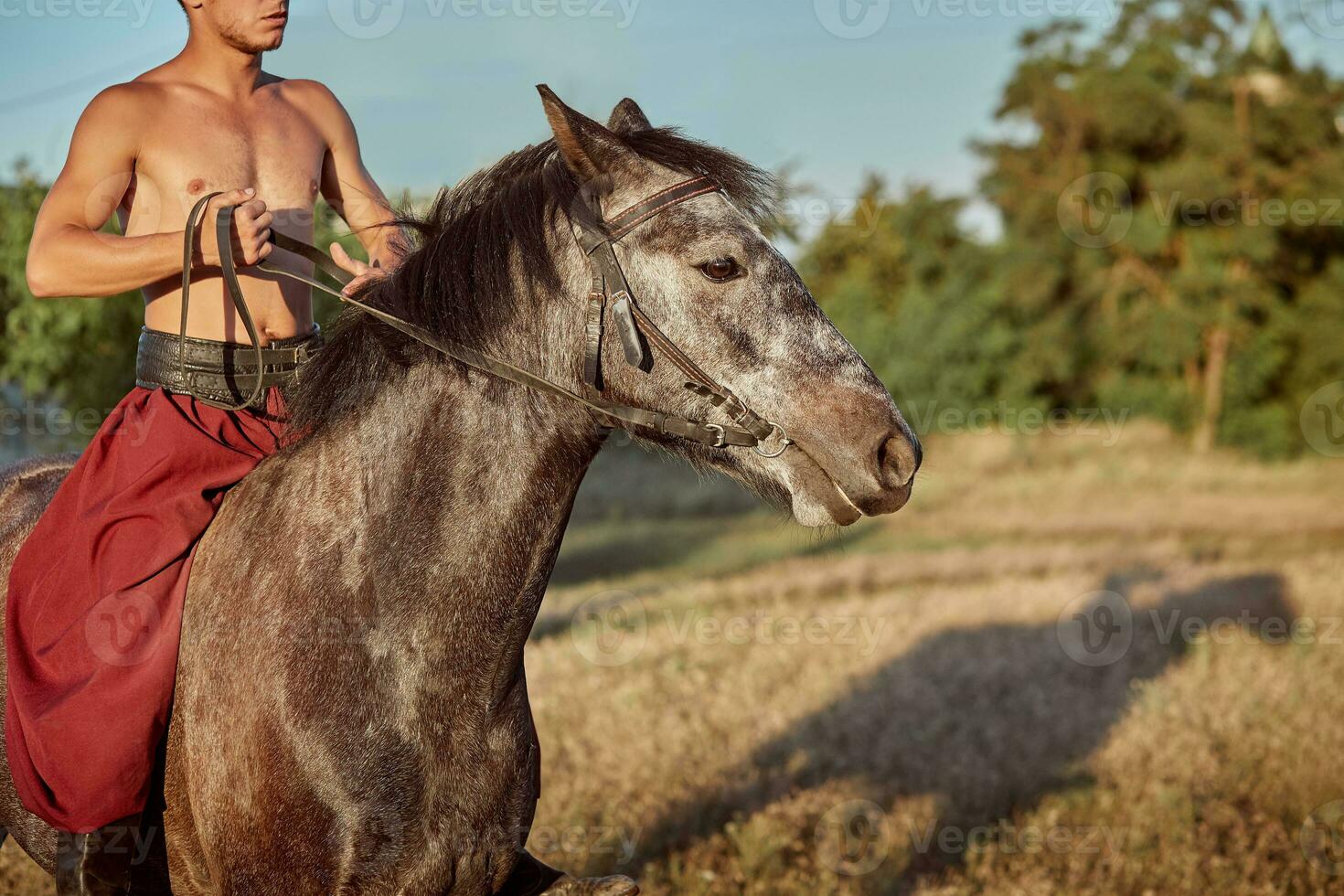 bello uomo cowboy equitazione su un' cavallo - sfondo di cielo e alberi foto