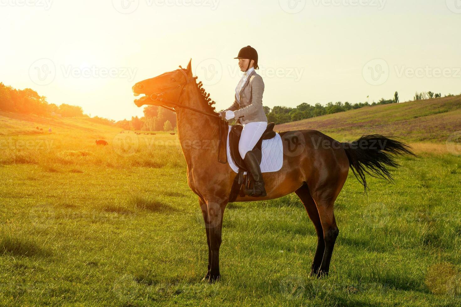 giovane donna equitazione un' cavallo su il verde campo foto