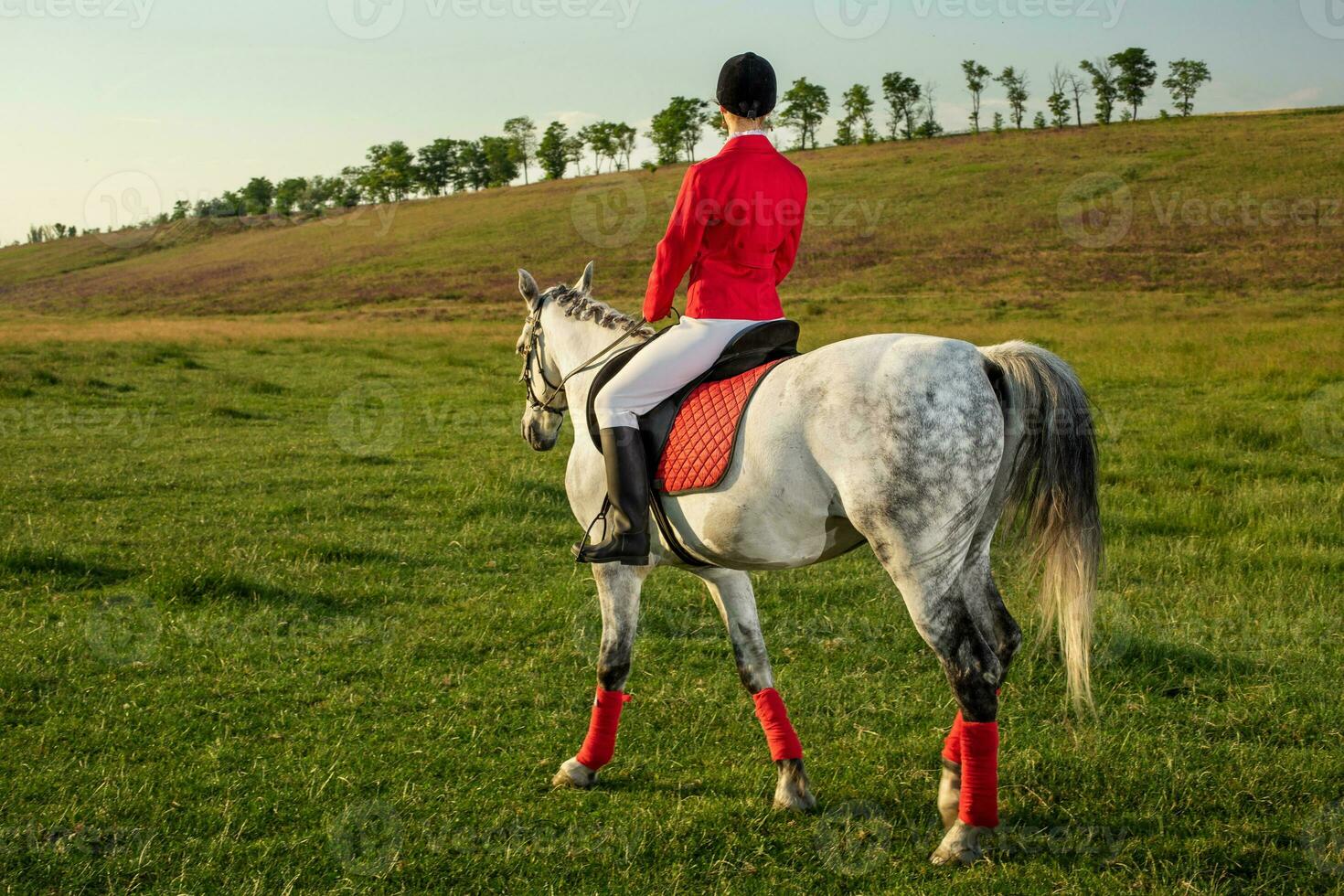 giovane donna cavaliere, indossare rosso redingote e bianca calzoni, con sua cavallo nel sera tramonto luce. foto