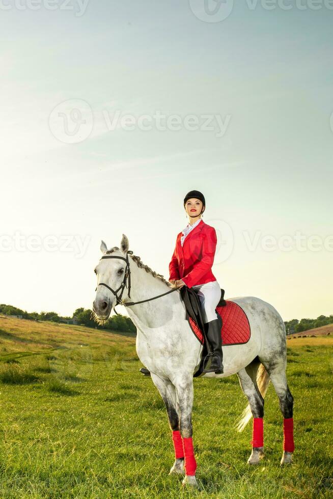 giovane donna cavaliere, indossare rosso redingote e bianca calzoni, con sua cavallo nel sera tramonto luce. foto