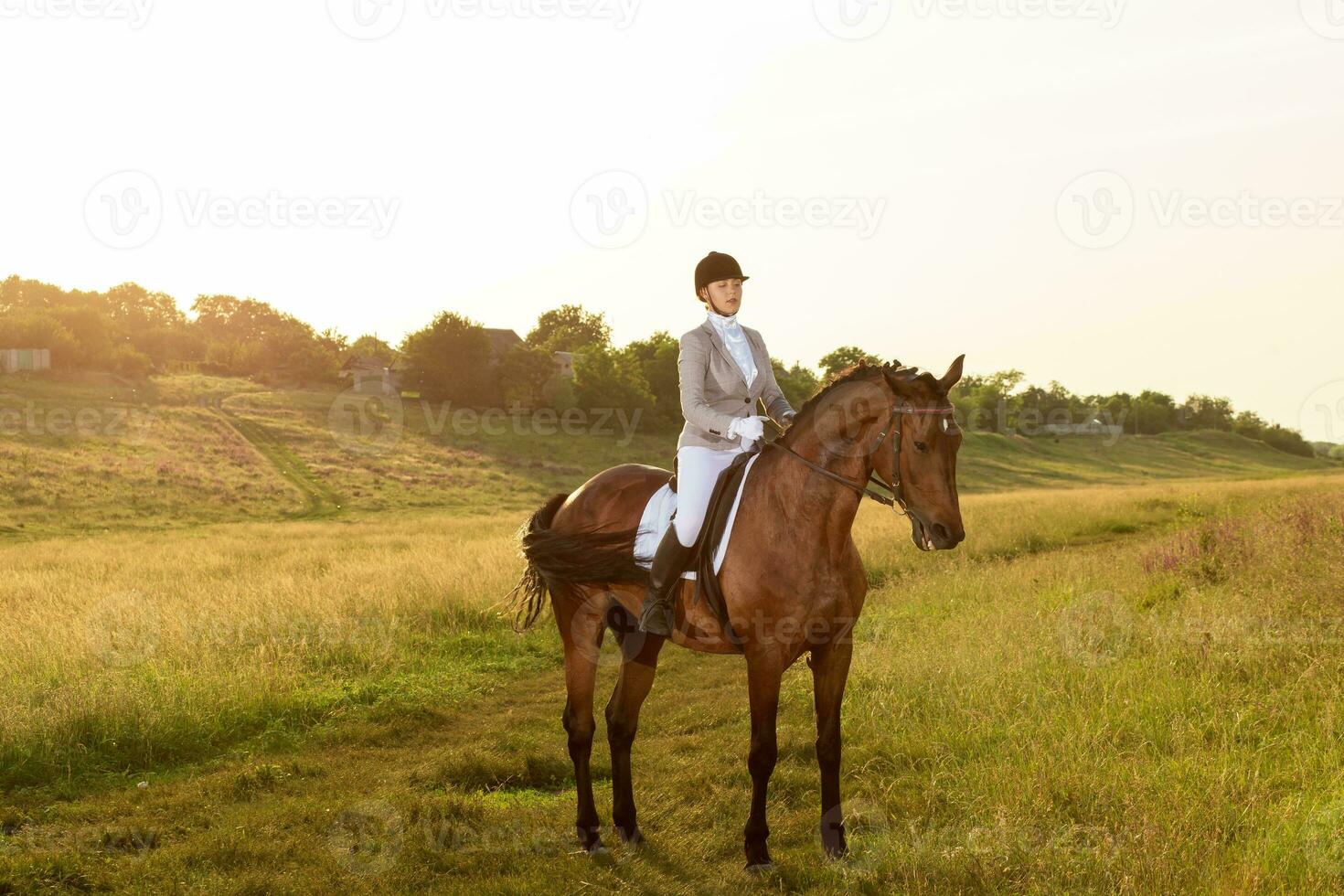 equestre sport. giovane donna equitazione cavallo su dressaggio Avanzate test foto