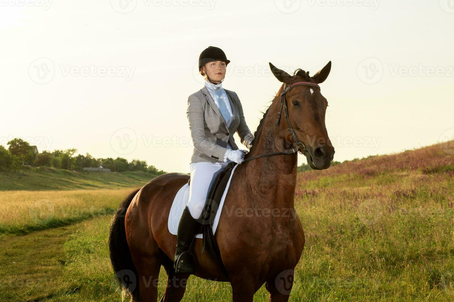 equestre sport. giovane donna equitazione cavallo su dressaggio Avanzate test foto