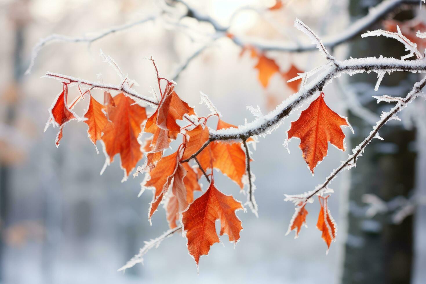 ai generato gelido rosso quercia le foglie nel inverno foresta. naturale sfondo, bellissimo congelato ramo con arancia e giallo acero le foglie nel il foresta, ai generato foto