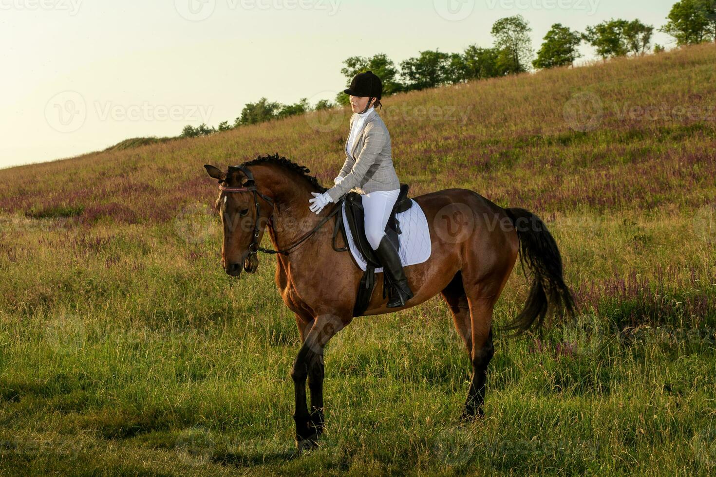 giovane donna ciclista con sua cavallo nel sera tramonto luce. all'aperto fotografia nel stile di vita umore foto