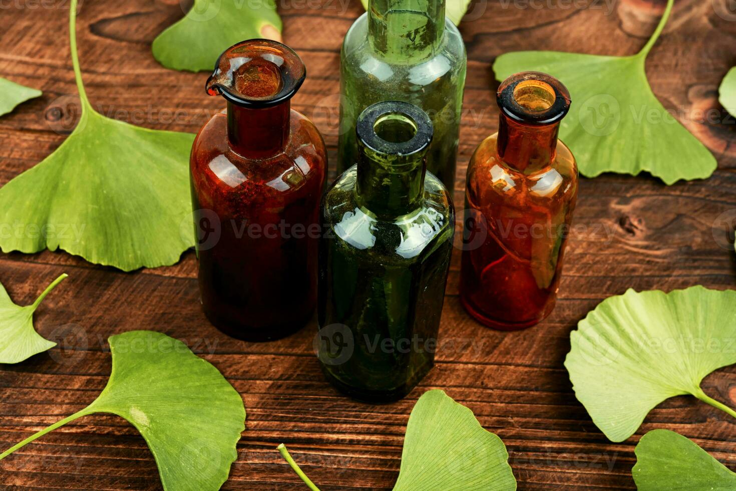 ginkgo biloba foglie, assistenza sanitaria. foto