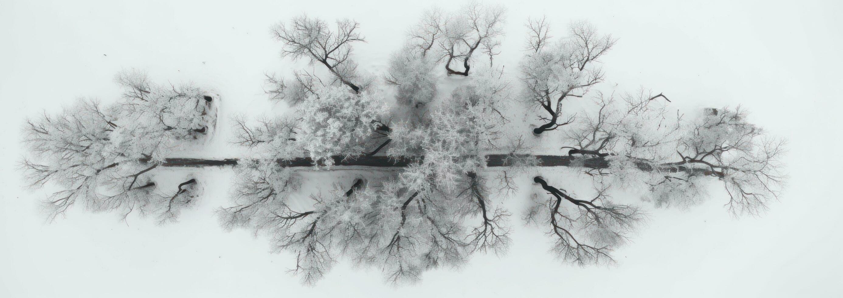 ai generato aereo Visualizza di albero coperto nel neve, foto