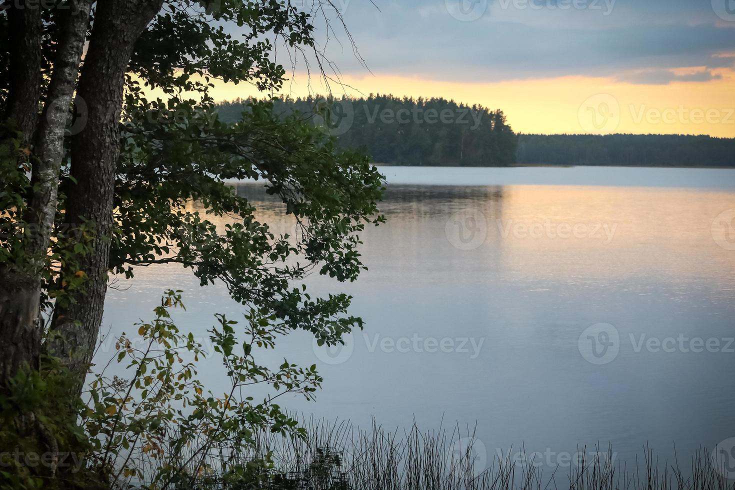 vista lago su acqua limpida con cornice di alberi foto