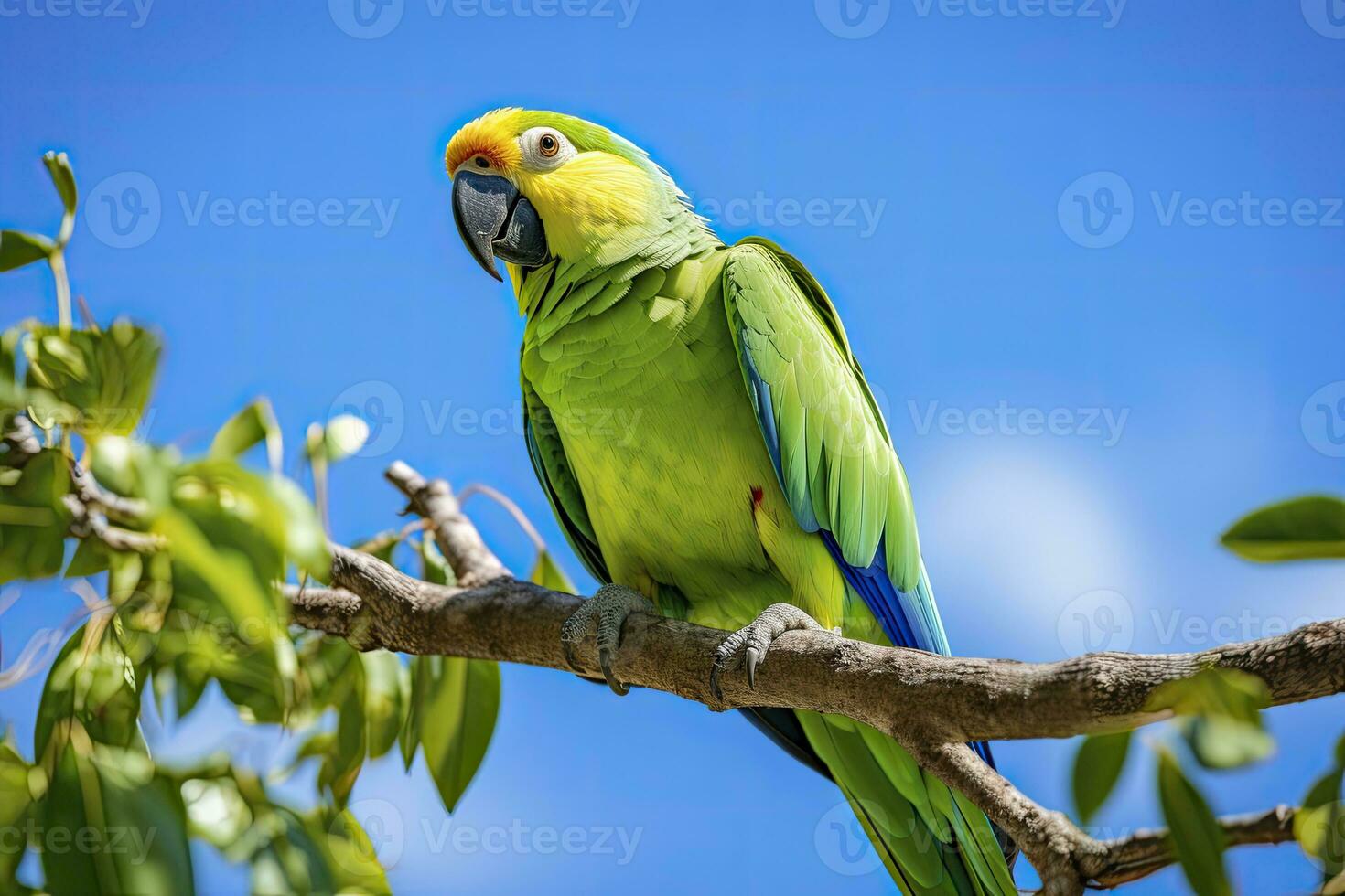 ai generato un' verde pappagallo su un' ramo. ai generato foto