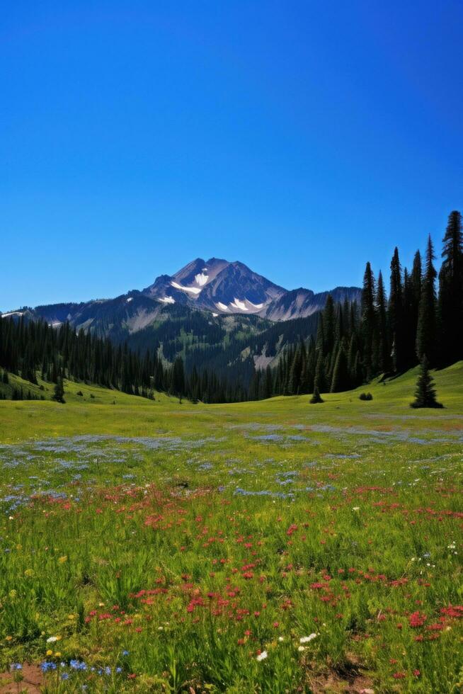 ai generato un' silenzioso prato pieno con fiori selvatici, un' chiaro blu cielo, e un' lontano montagna gamma foto