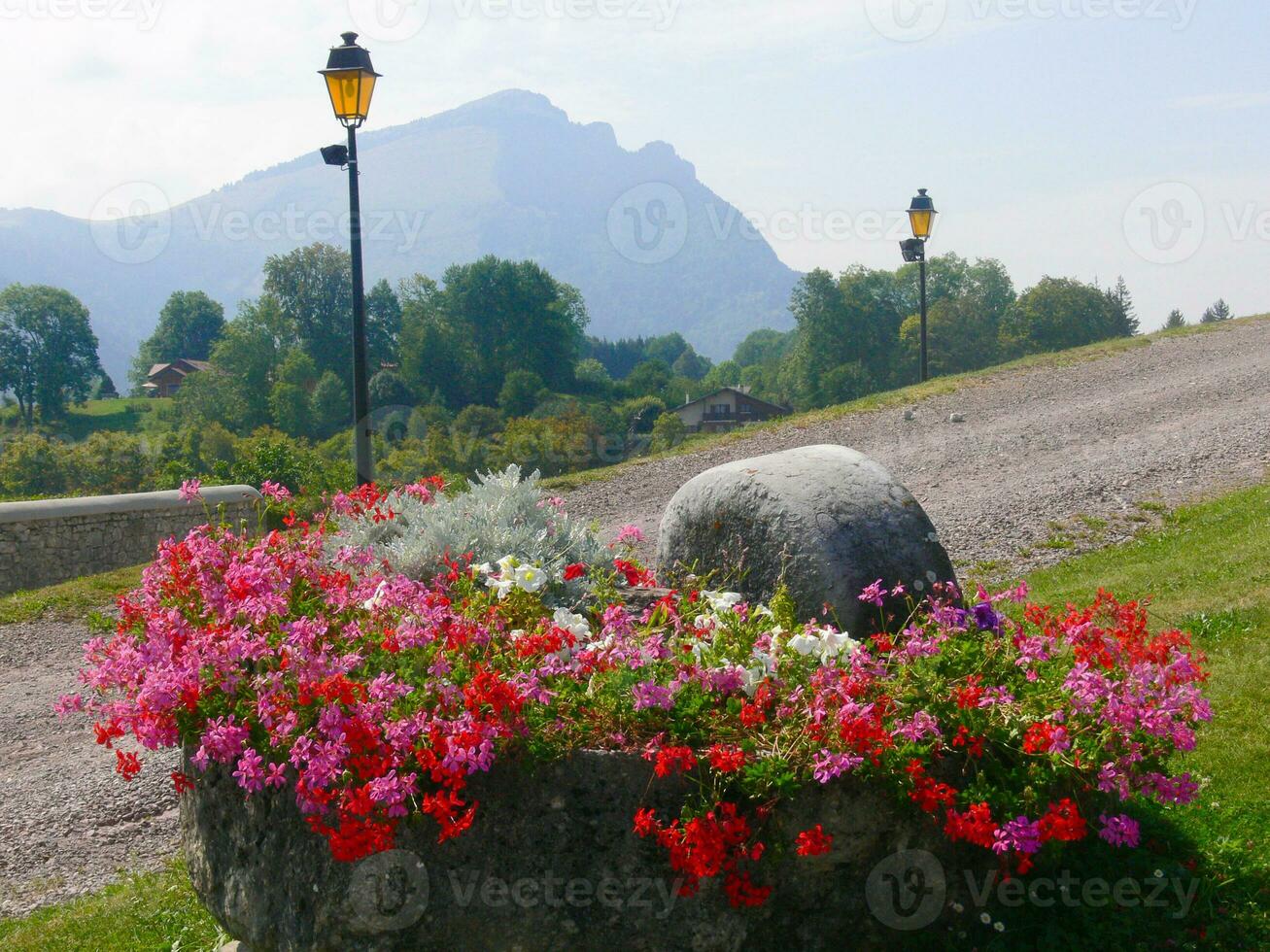 un' grande roccia con fiori foto