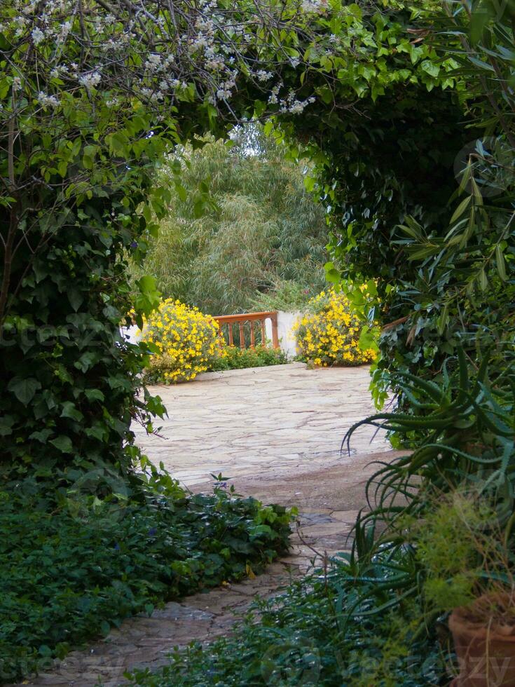 un' sentiero principale per un' giardino foto