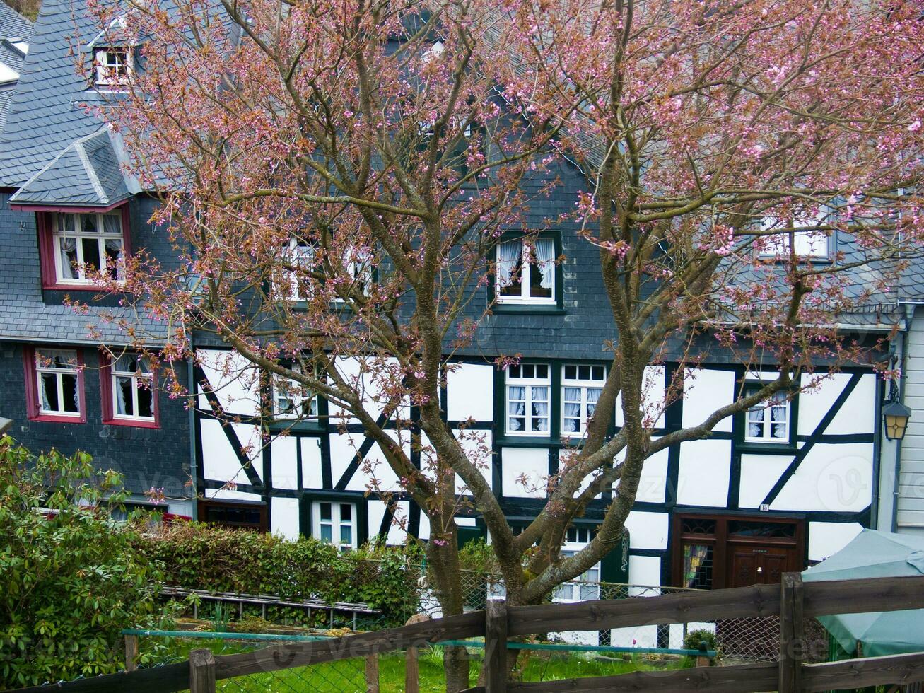 un' albero con rosa fiori nel davanti di un' Casa foto