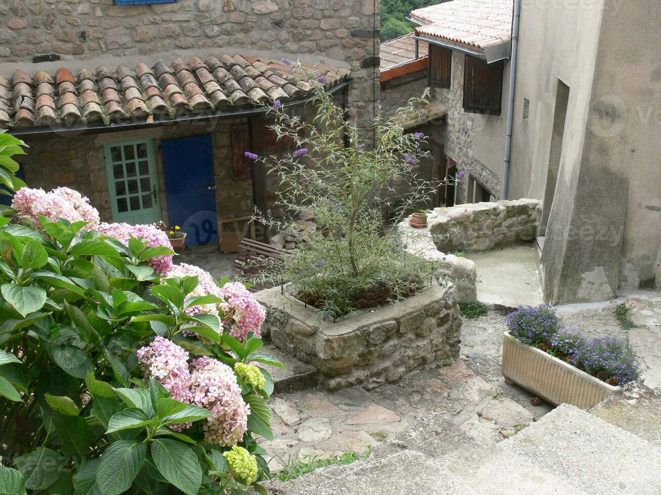 un' fiore nel un' piantatore foto