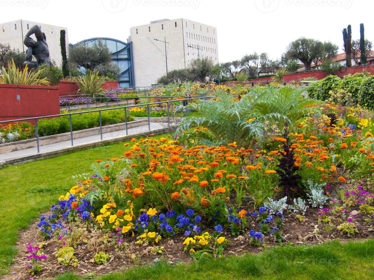 un' fiore giardino foto