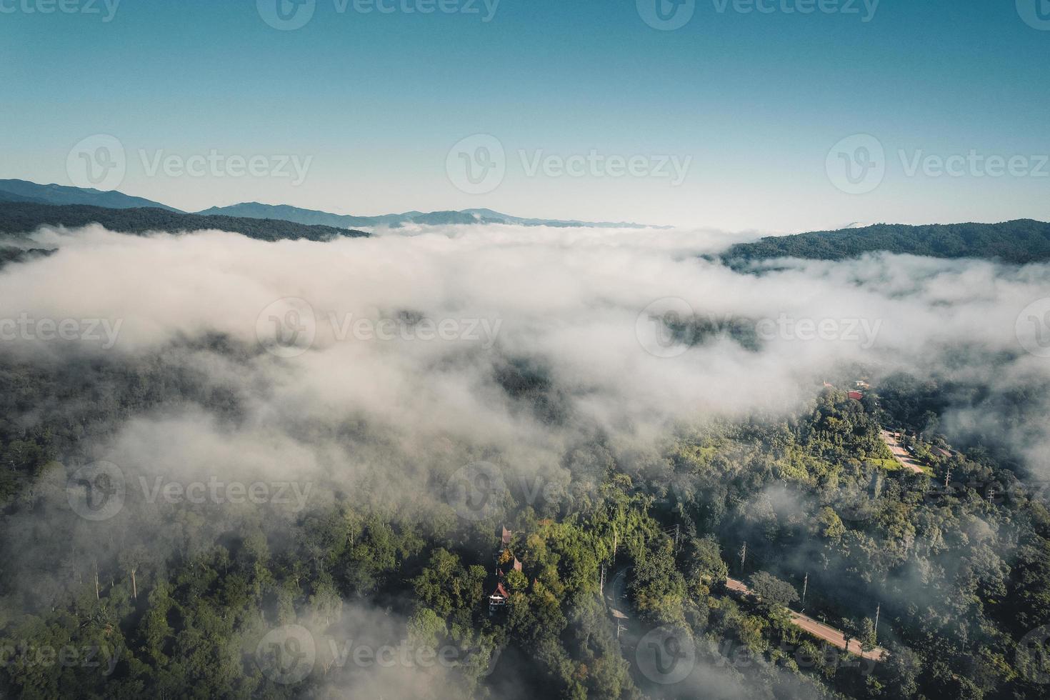 vista dall'alto della foresta e della nebbia al mattino foto