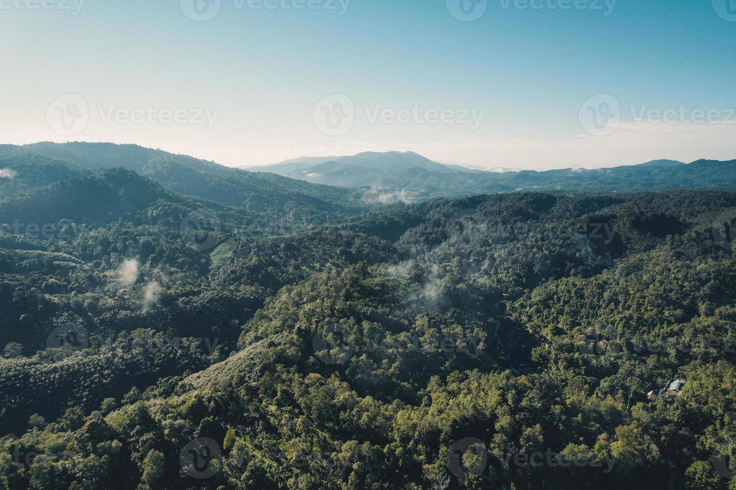 vista dall'alto della foresta e della nebbia al mattino foto