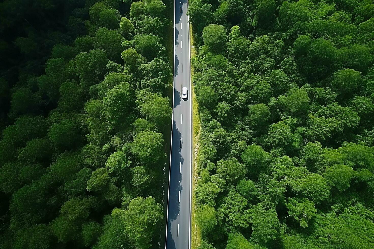 ai generato aereo Visualizza di un' strada nel il mezzo di il foresta foto