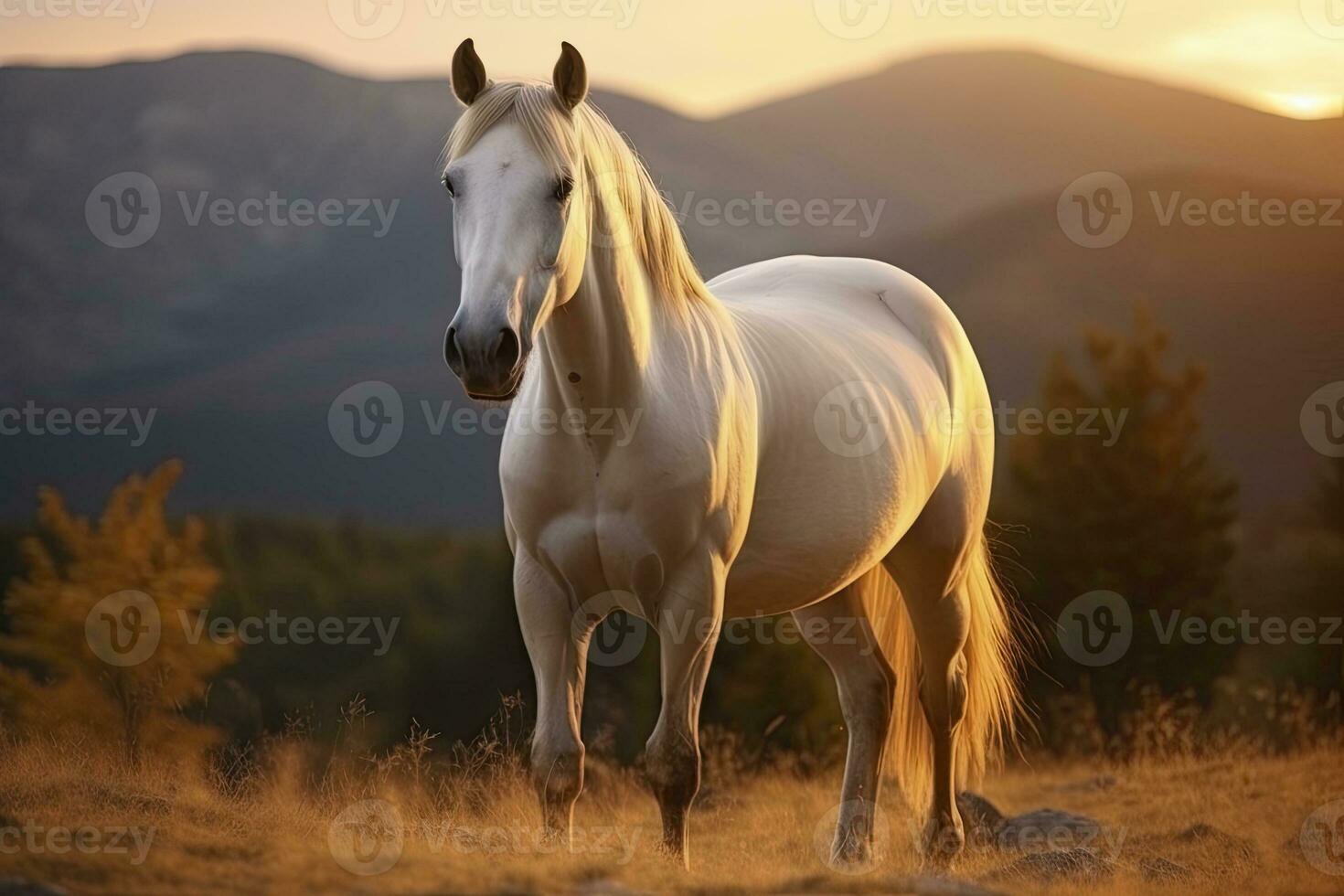 ai generato bianca cavallo o cavalla nel il montagne a tramonto. ai generato foto