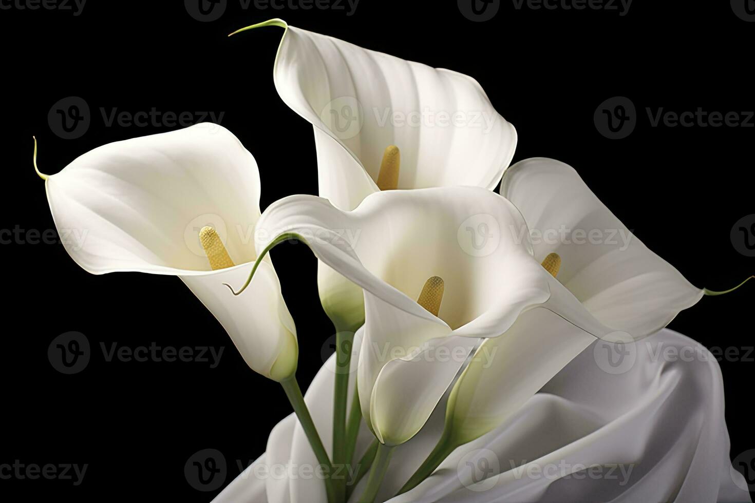 ai generato bianca nozze natura giglio bellezza fiorire pianta fiore flora calla. ai generato foto