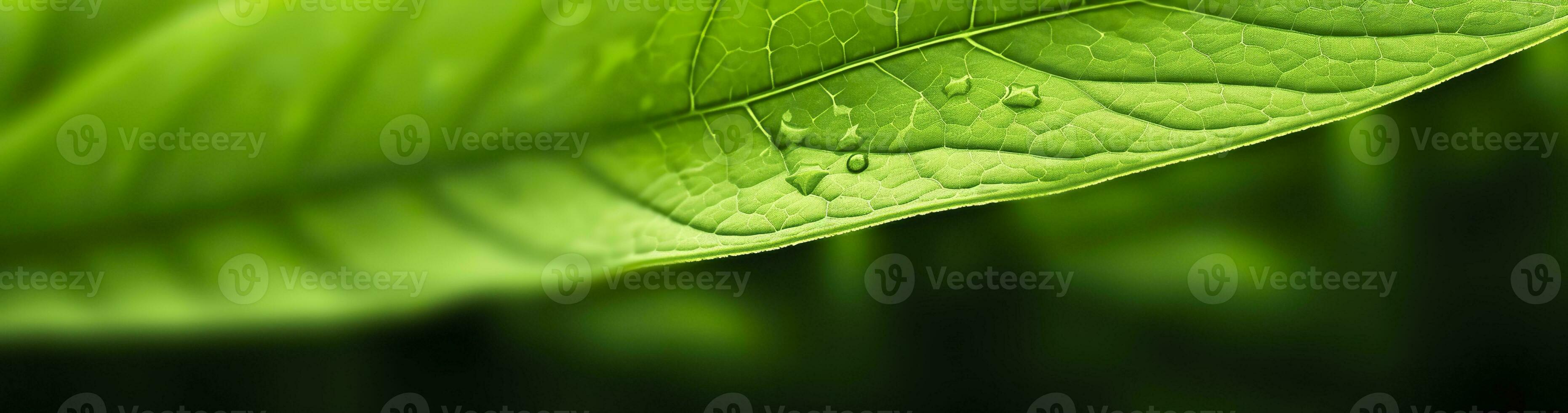 ai generato verde foglia natura sfondo. ai generato foto