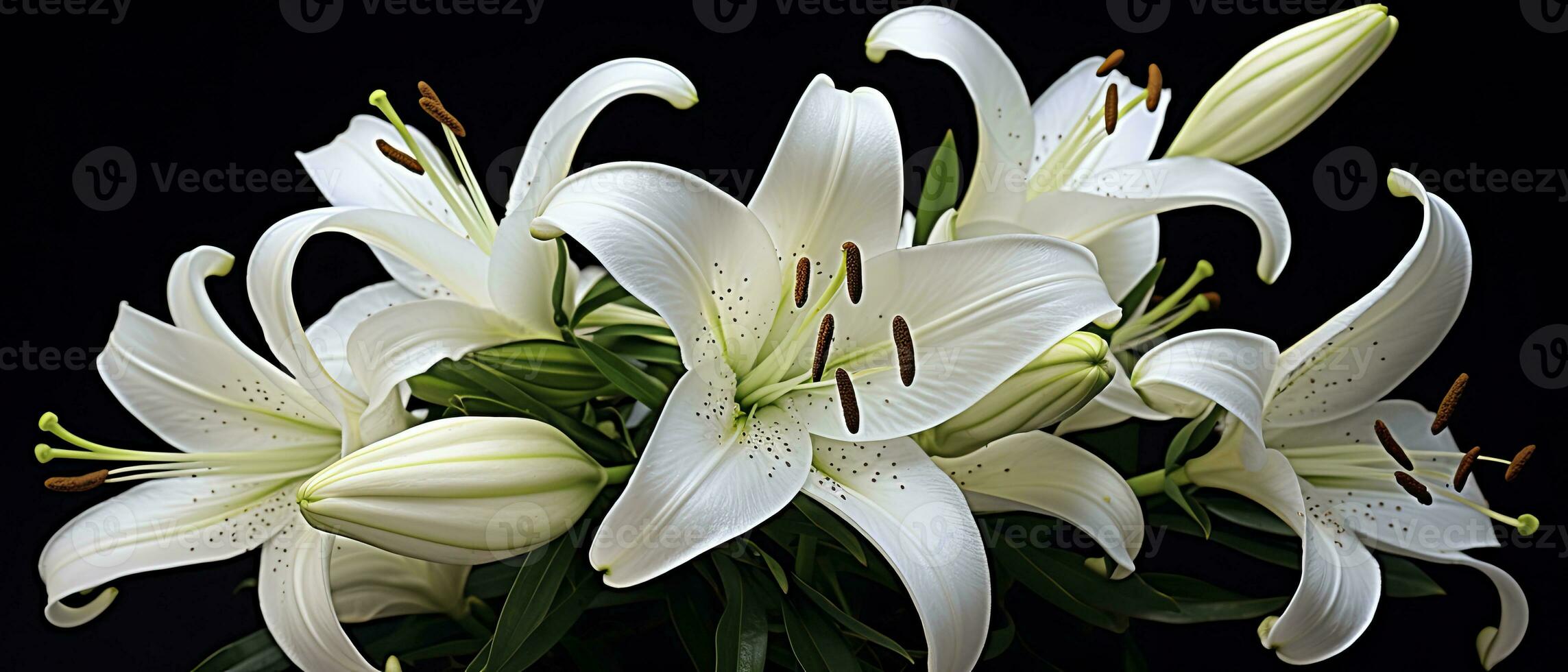 ai generato bianca giglio fiori su nero sfondo. ai generato foto