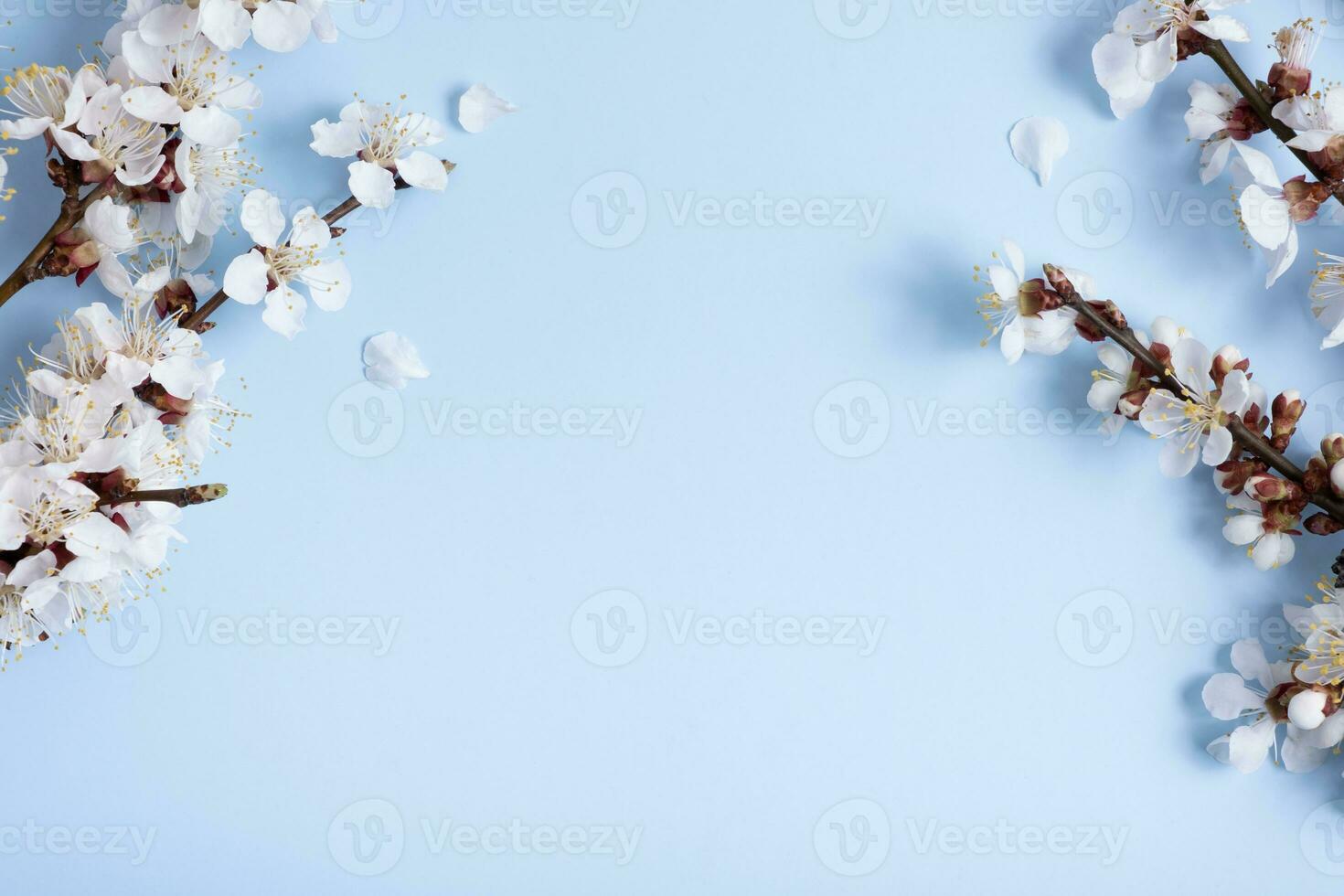 fiore rami su un' blu sfondo. primavera sfondo per testo foto