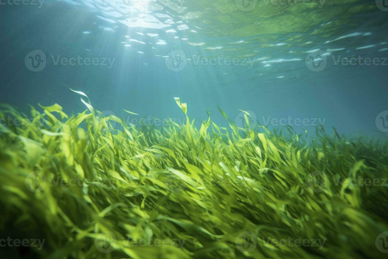 ai generato subacqueo Visualizza di un' gruppo di fondale marino con verde erba marina. ai generato foto