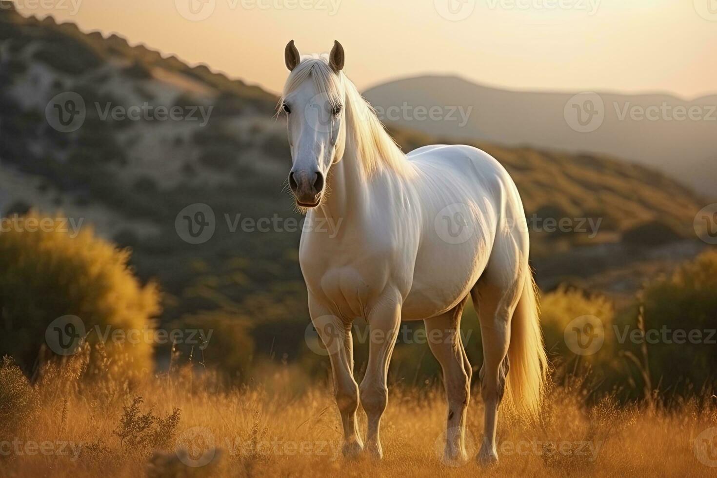 ai generato bianca cavallo o cavalla nel il montagne a tramonto. ai generato foto