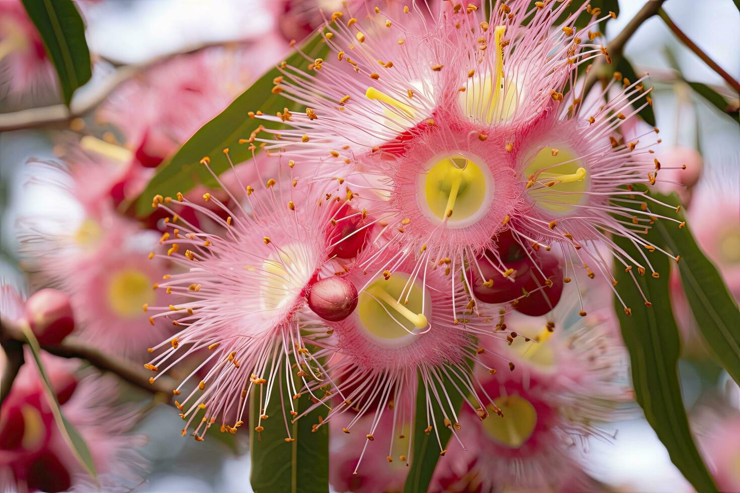 ai generato bellissimo gomma albero rosa fiori e mini cuffie. ai generato foto