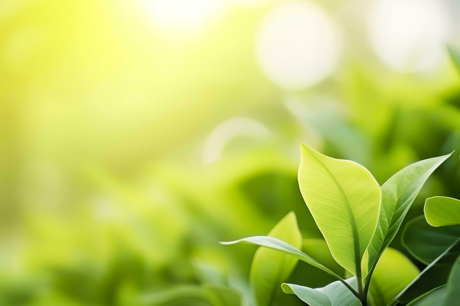 ai generato natura di verde foglia nel un' giardino nel estate sotto luce del sole. primavera sfondo. ai generato foto