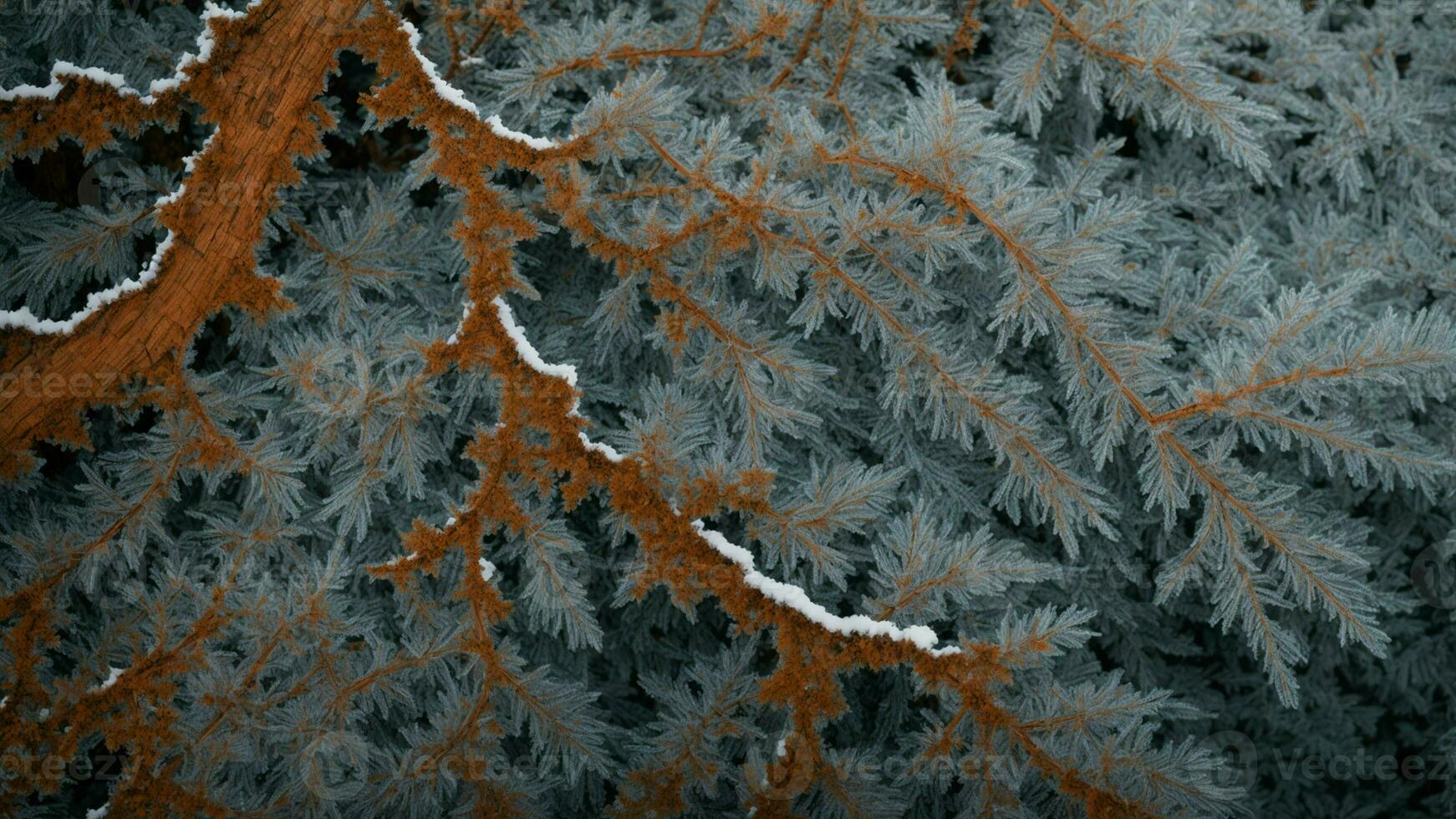 ai generato Ingrandisci nel su il intricato modelli formato di ghiaccio su il abbaiare di vario albero specie, sottolineando il diversità nel struttura e Come ogni albero genere reagisce diversamente per inverno condizioni. foto