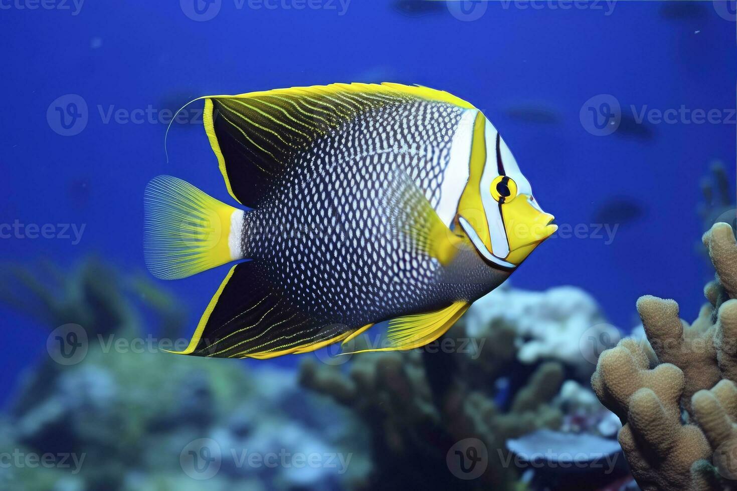 ai generato bellissimo squatina nel il oceano. ai generato foto