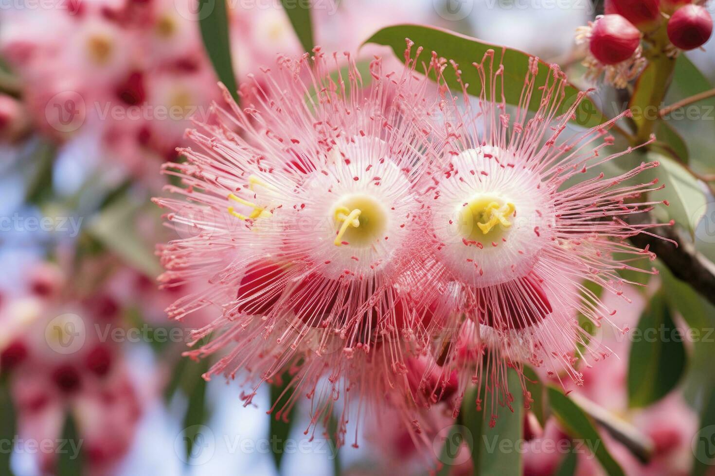 ai generato bellissimo gomma albero rosa fiori e mini cuffie. ai generato foto