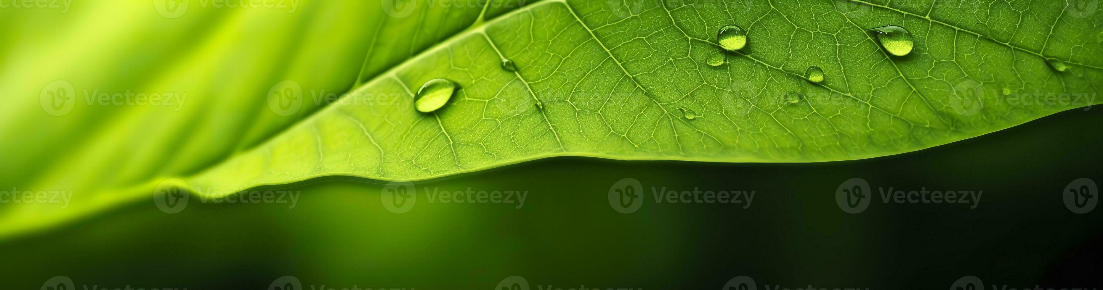 ai generato verde foglia natura sfondo. ai generato foto