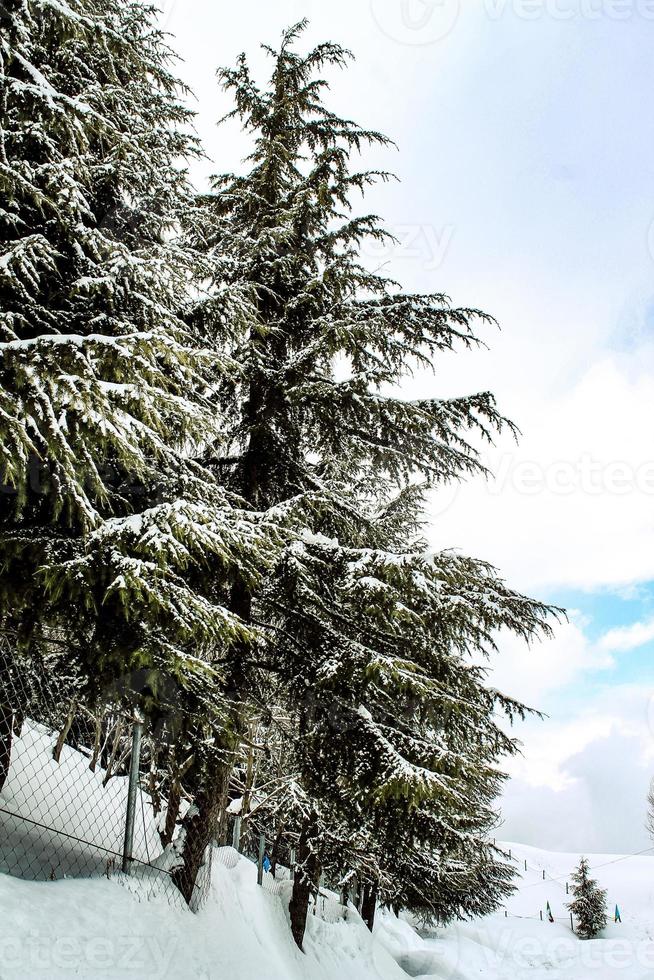 malam jabba e kalam swat paesaggi paesaggistici foto