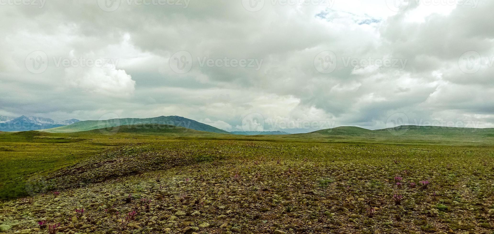 parco nazionale deosai foto