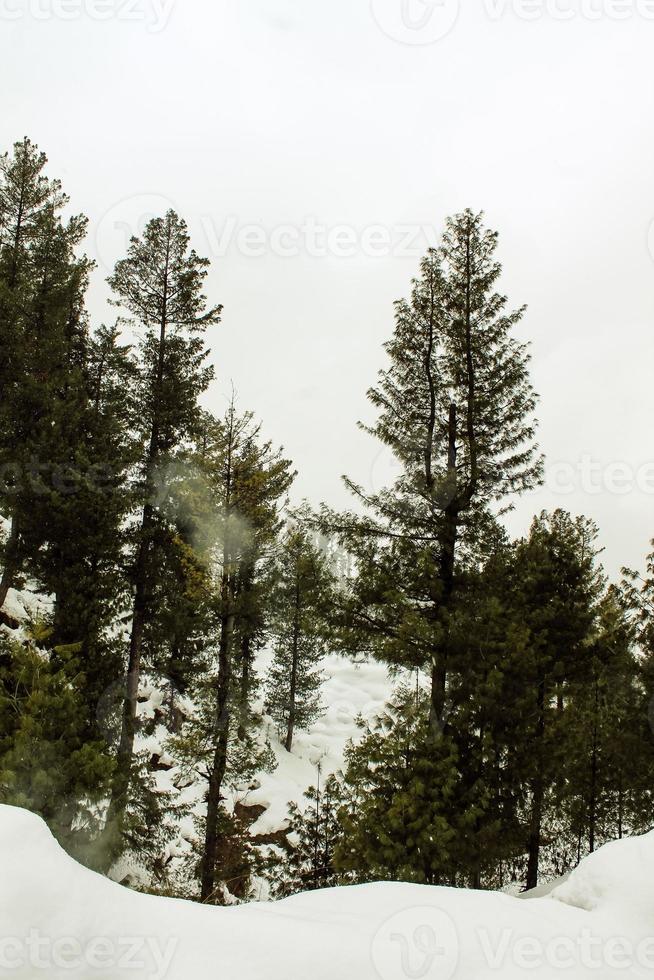 malam jabba e kalam swat paesaggi paesaggistici foto