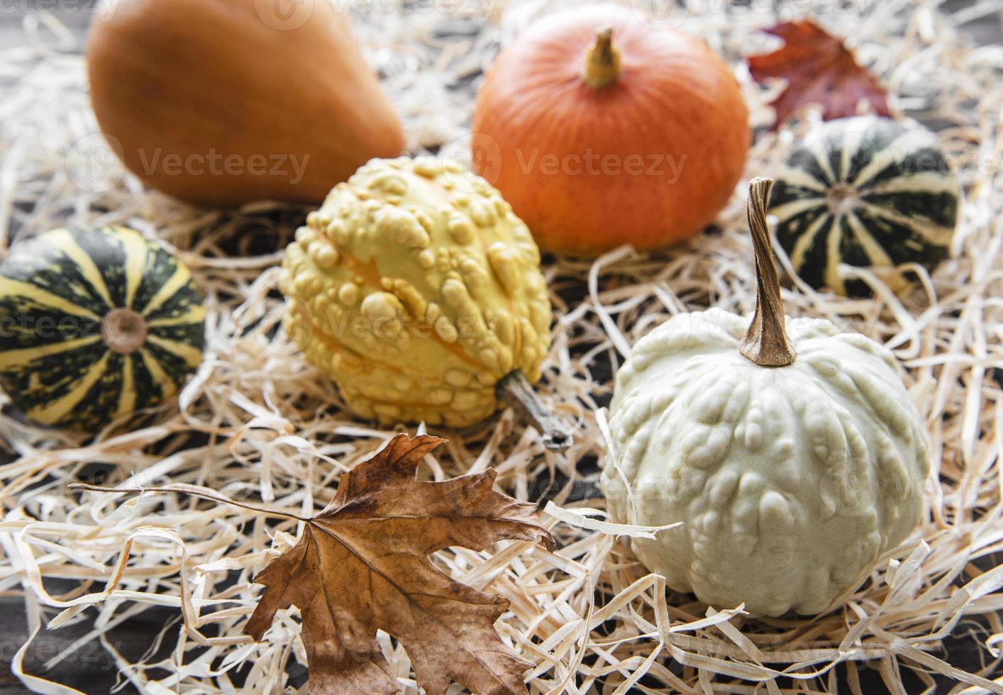 composizione autunnale, accogliente stagione autunnale, zucche e foglie foto