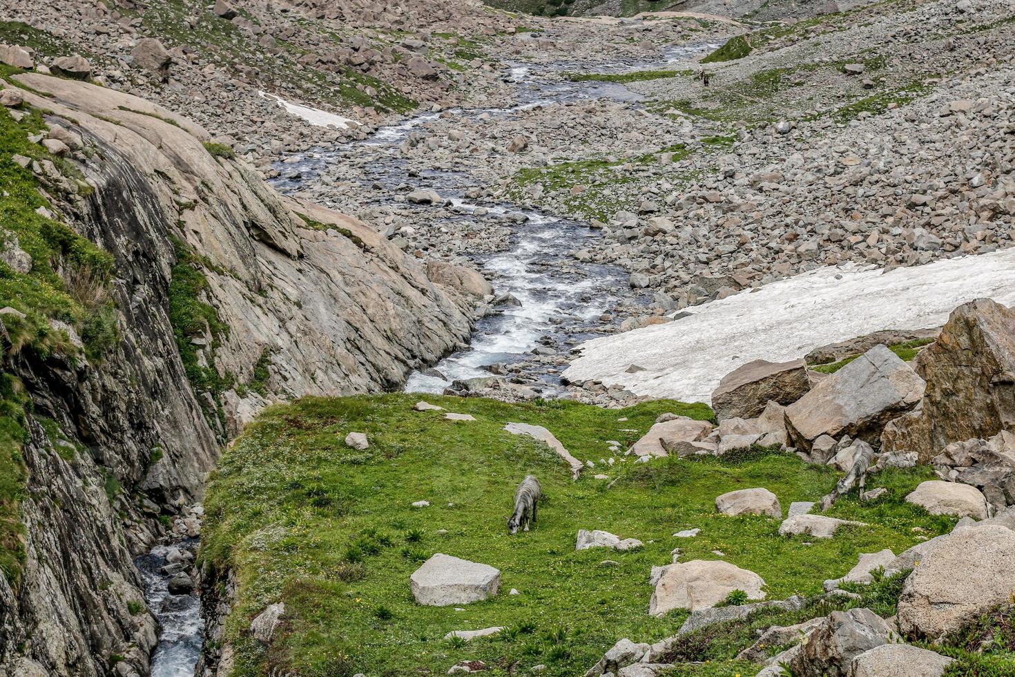 valle di kumrat bellissimo paesaggio vista sulle montagne foto