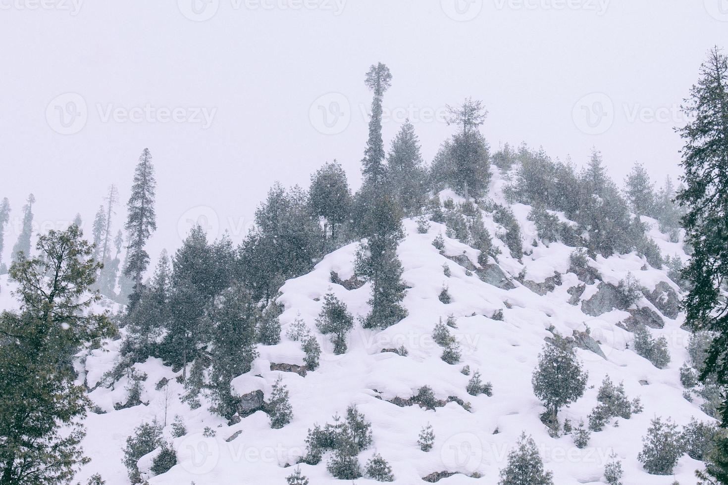 malam jabba e kalam swat paesaggi paesaggistici foto