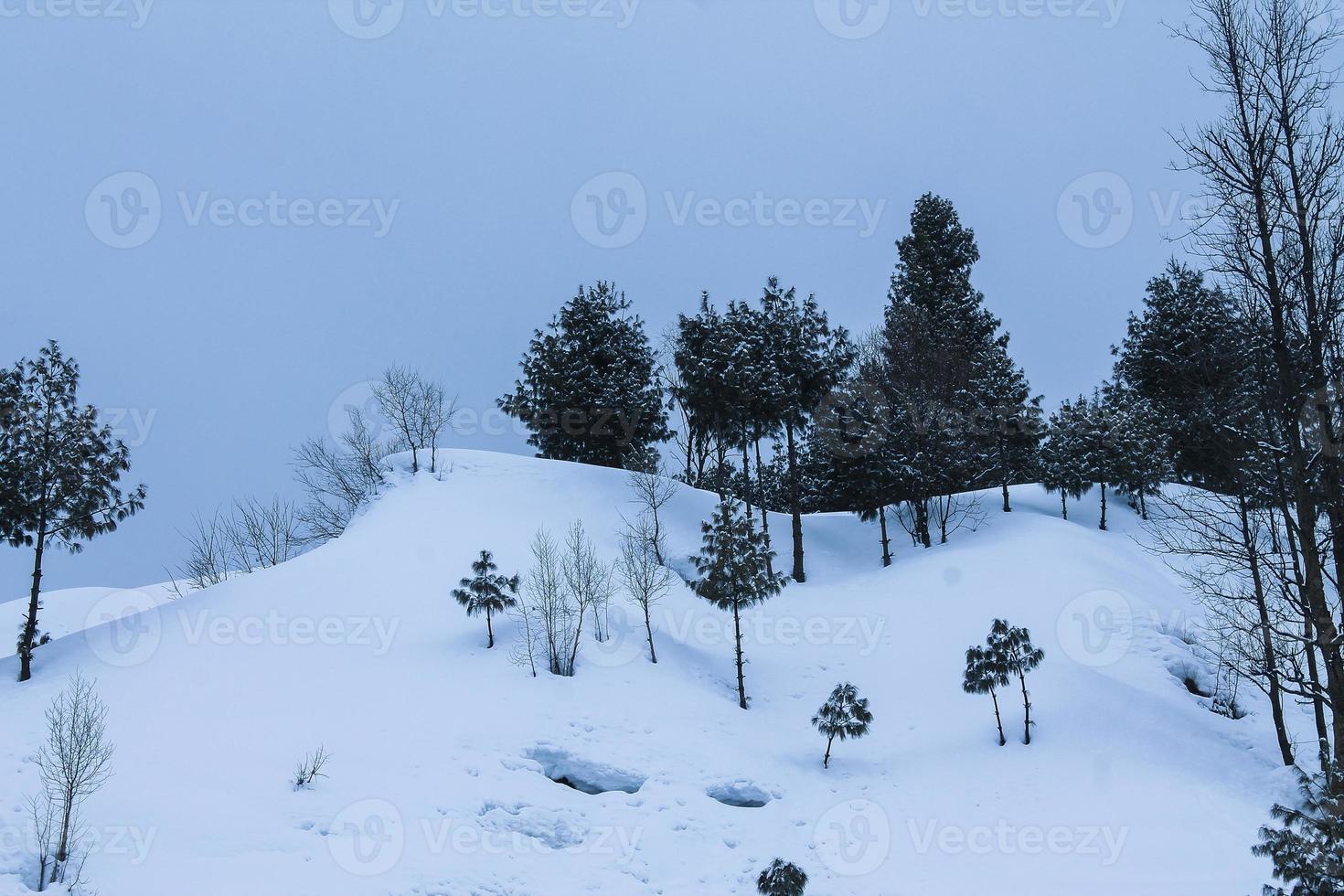 malam jabba e kalam swat paesaggi paesaggistici foto