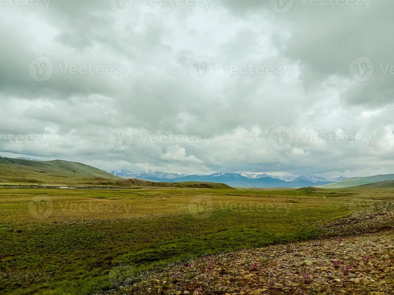 parco nazionale deosai foto