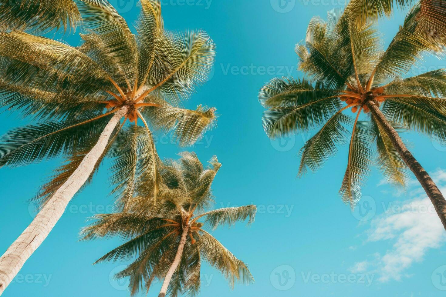 ai generato torreggiante tropicale palma alberi Visualizza. creare ai foto