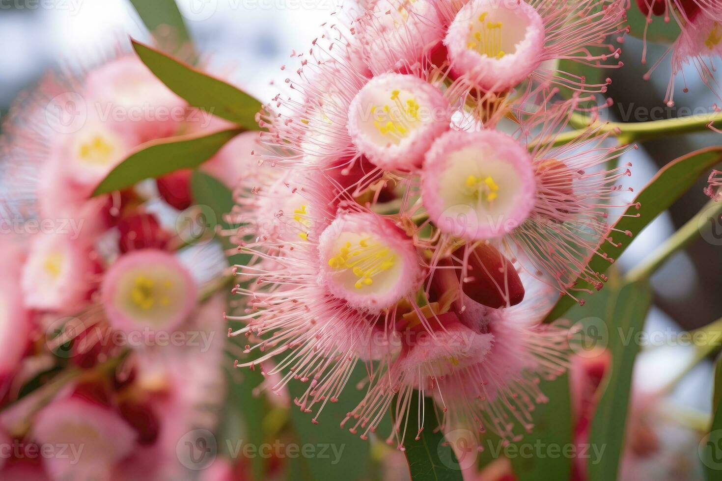 ai generato bellissimo gomma albero rosa fiori e mini cuffie. ai generato foto