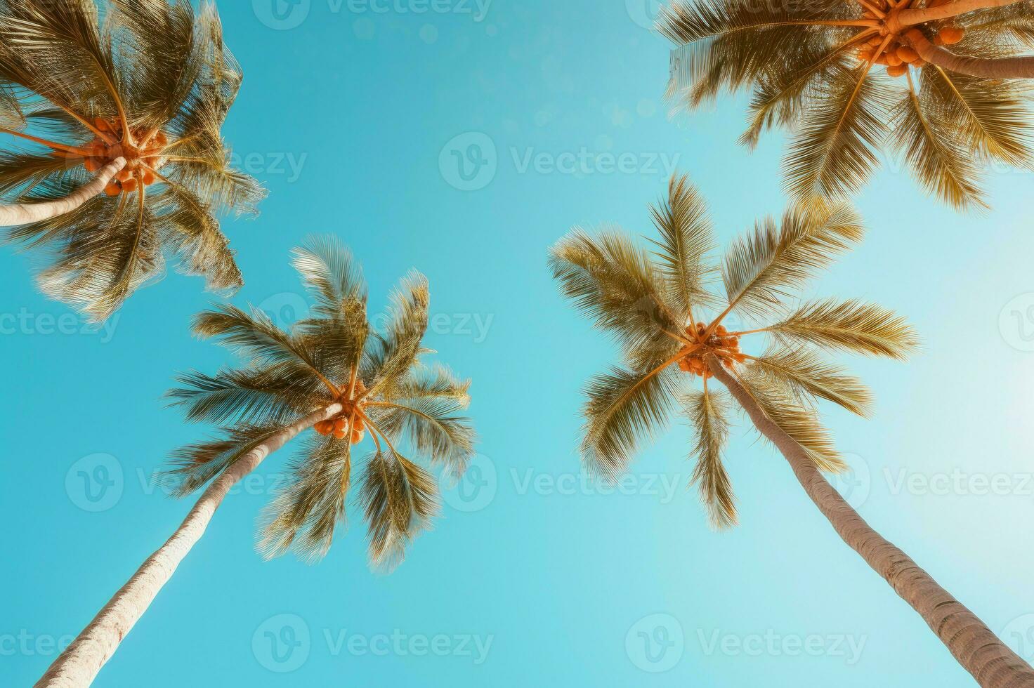 ai generato sereno tropicale palma alberi Visualizza. creare ai foto