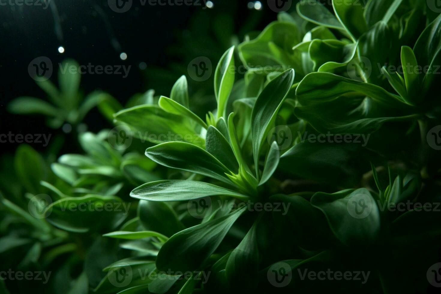 ai generato dinamico bellezza travolgente Immagine di verde le foglie con grazia sospeso nel il aria ai generato foto