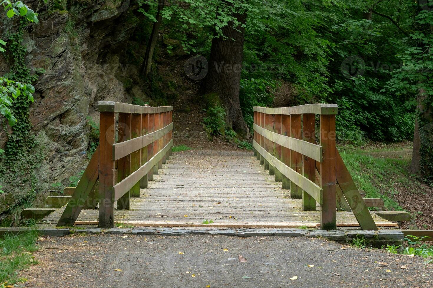 di legno ponte con alberi nel il sfondo foto