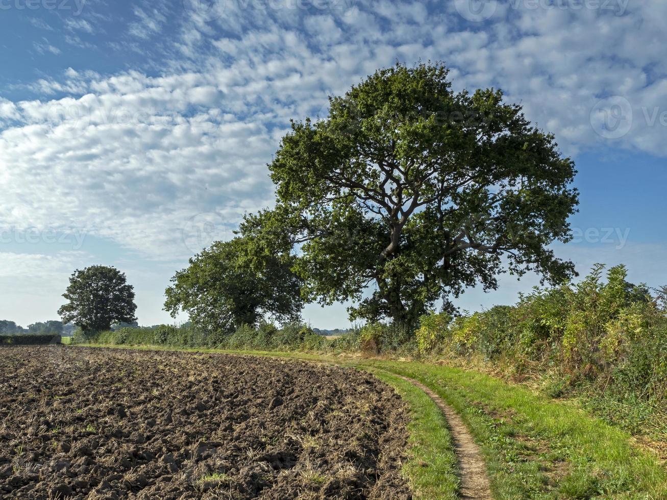 Percorso e campo arato a Bishopthorpe, North Yorkshire, Inghilterra foto