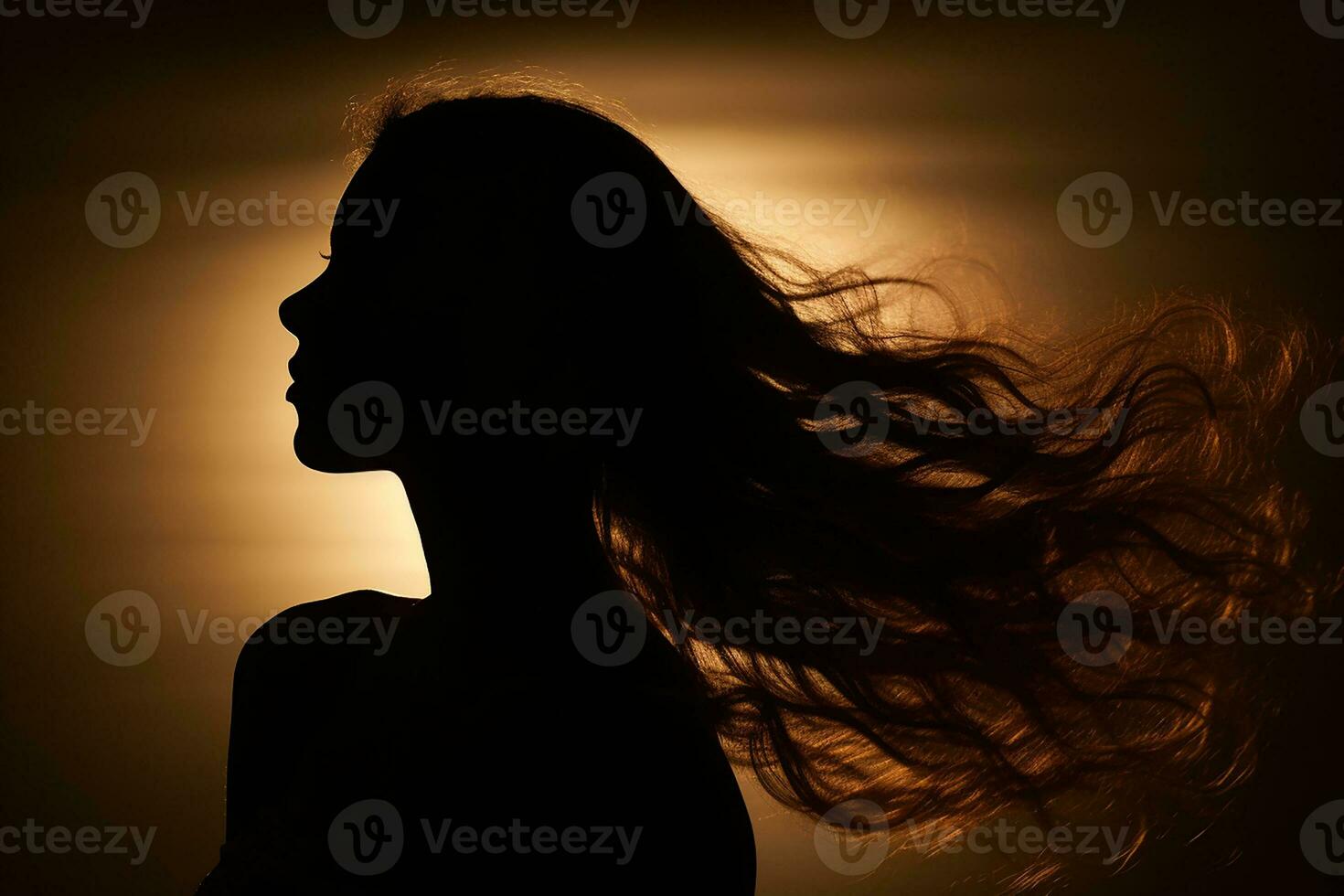 ai generato silhouette di un' femmina in piedi con lungo capelli foto